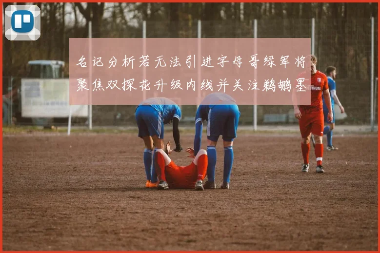 名记分析若无法引进字母哥绿军将聚焦双探花升级内线并关注鹈鹕墨菲